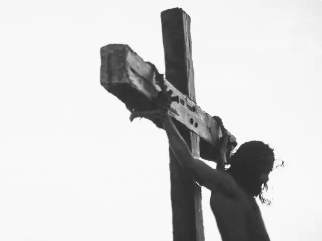 Hvorfor Jesus? (Kurs uten e-coach)